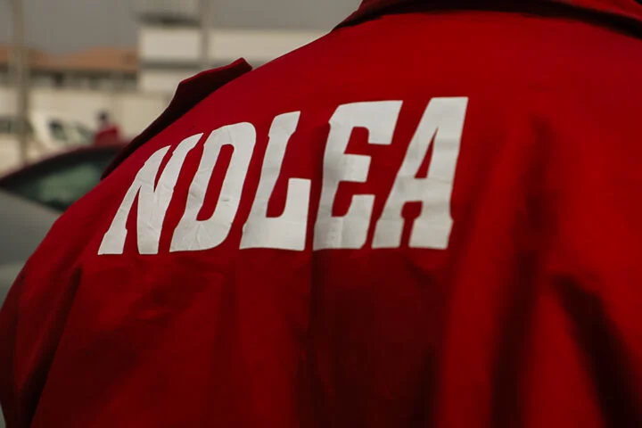 Ndlea