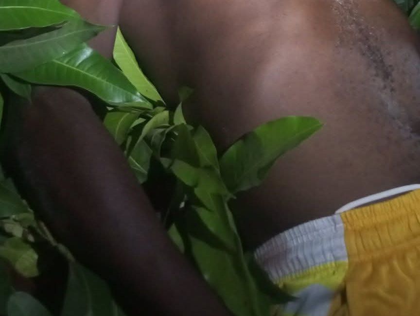 52055 1774875334 52055 1774875334