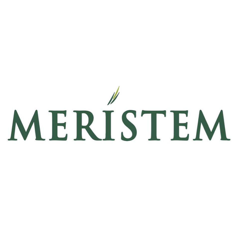 Fbn Holdings Changes Registrars Meristem Fbn Holdings Changes Registrars Meristem