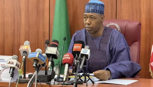 Img 3133 1 Img 3133 1