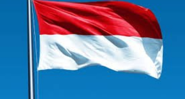 Indonesian Flag