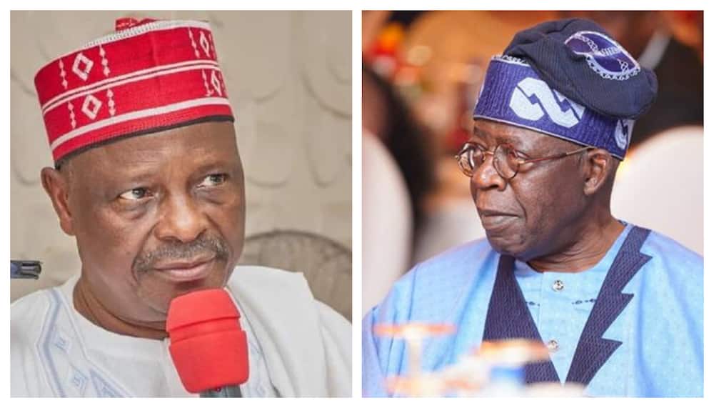 Kwankwaso And Tinubu