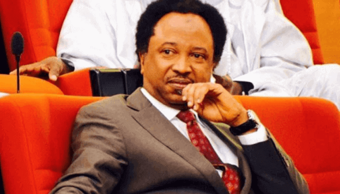 Senator Shehu Sani