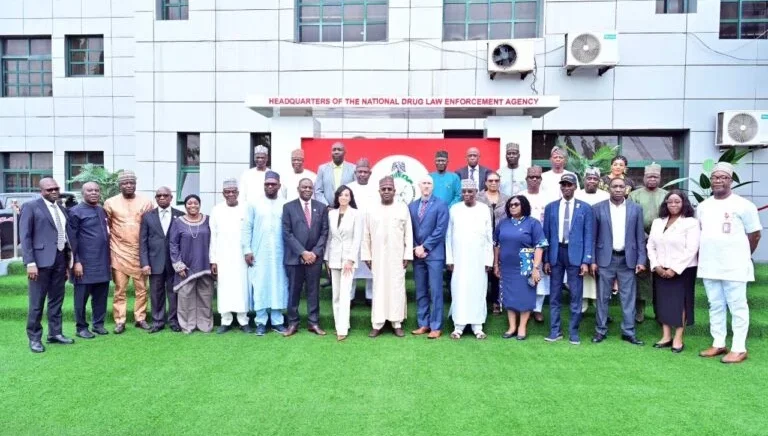 D1F2A340 D39C 4755 A826 0B660Ce40B79 768X512 1 E1774989643580