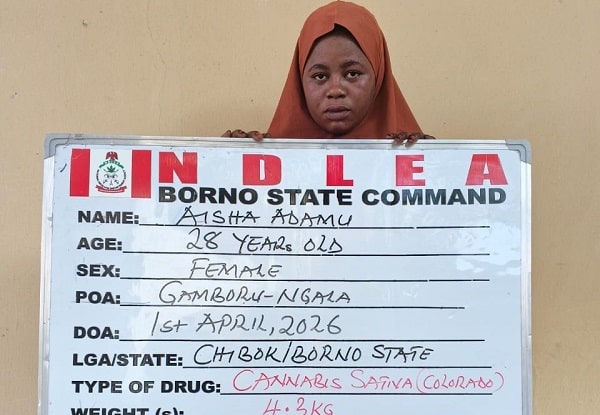 0Bfe4F6B E8E5 4E00 8E13 977A7835D99B