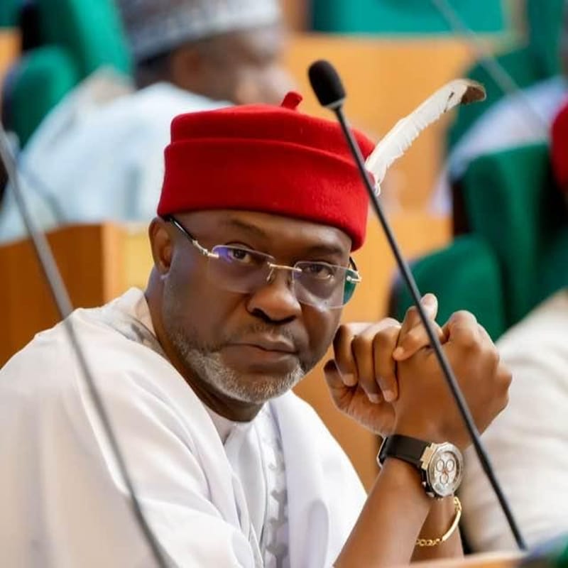 449446364 1007793498019116 4007951015061453318 N