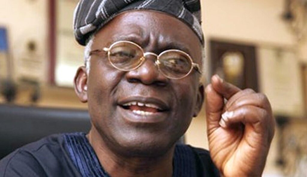 Femi Falana 1