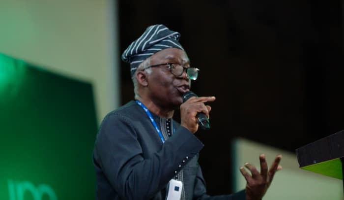 Femi Falana 2