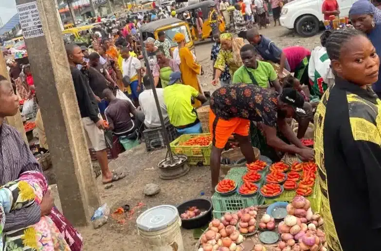 Img 4956 E1775370807465 Img 4956 E1775370807465