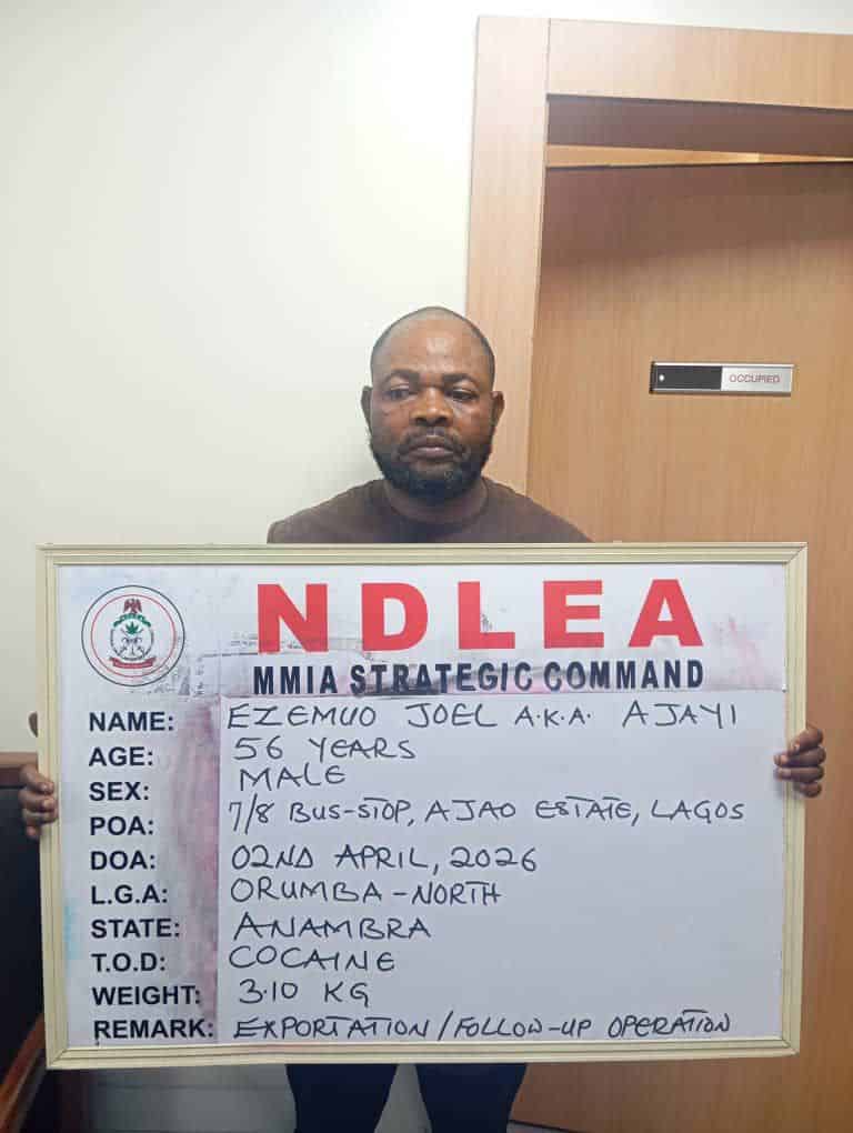 Ndlea 7