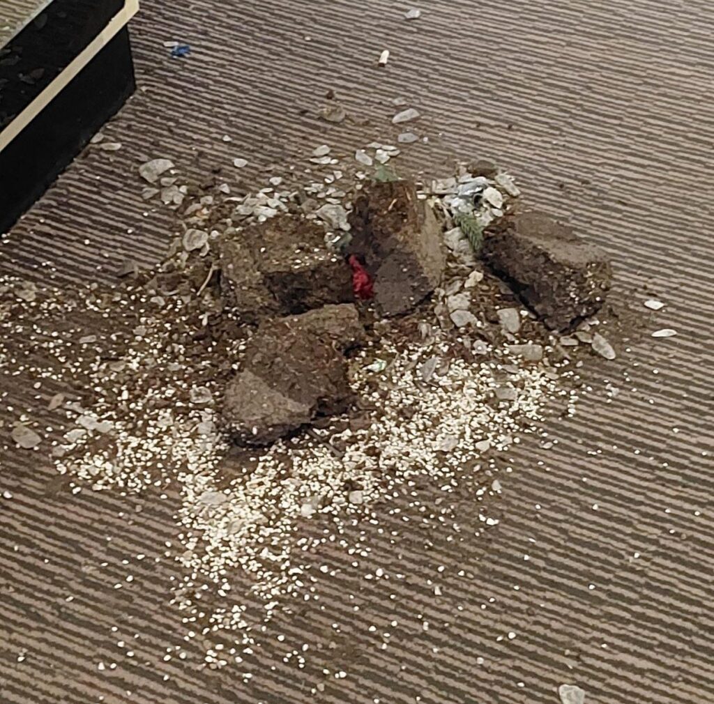 Sei 291585857 1B92 E1775065803273 Sei 291585857 1B92 E1775065803273