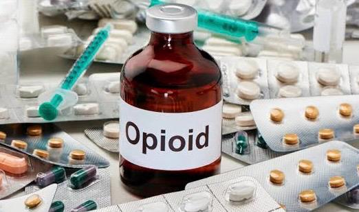 Whatsapp Image 2024 03 20 At 14.11.05 Whatsapp Image 2024 03 20 At 14.11.05