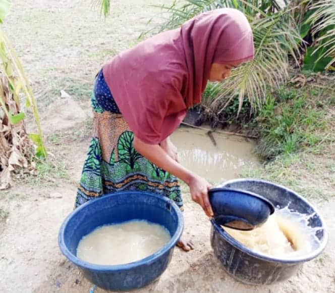 A Woman Fetching Water From One Of The Ponds